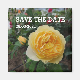 Blommagnet gul ros magnet