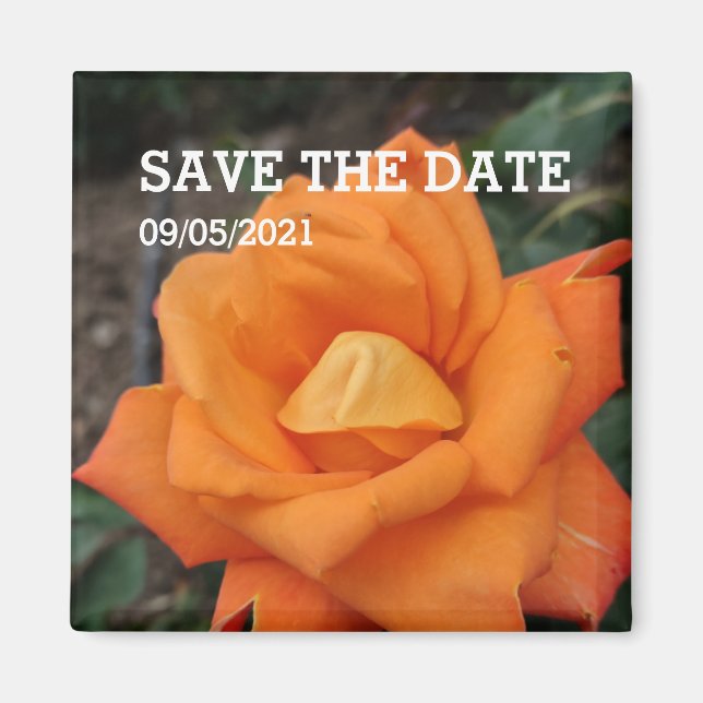 Blommagnet orange ro magnet (Framsidan)