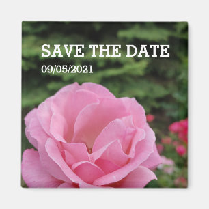 Blommagnet rosa ros magnet