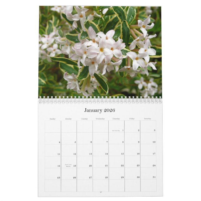 Blommakalender 2013 kalender (Jan 2026)