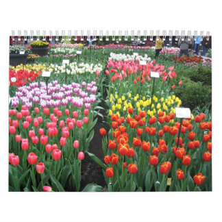 Blommakalender 8 kalender