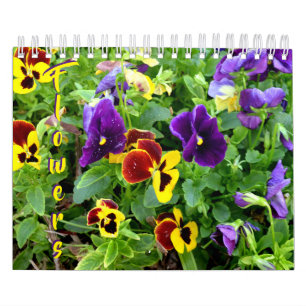 blommakalender för 18 månad kalender