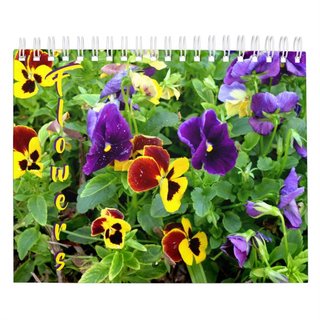 blommakalender för 18 månad kalender (Omslag)