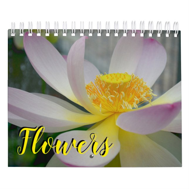 blommakalender för 18 månad kalender (Omslag)