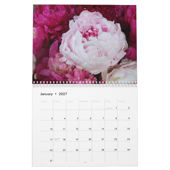 Blommakalender för pioner 2013 kalender (Jan 2027)