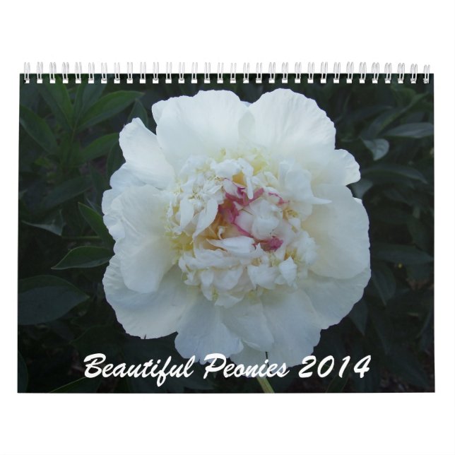 Blommakalender för pioner 2014 kalender (Omslag)
