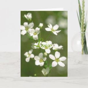 Blommakärlek Kort