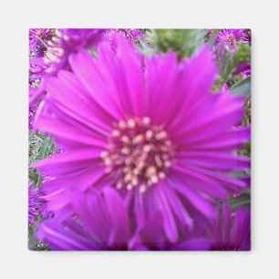 Blommamagnet Magnet