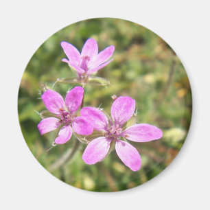 Blommamagnet Magnet