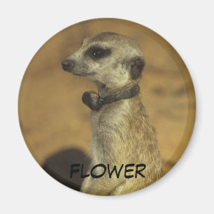 Blommamagnet Magnet