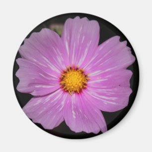 Blommamagnet Magnet