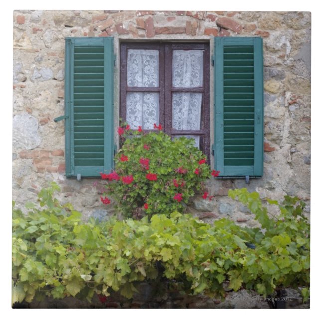 Blomman boxas på fönster kakelplatta (Framsidan)