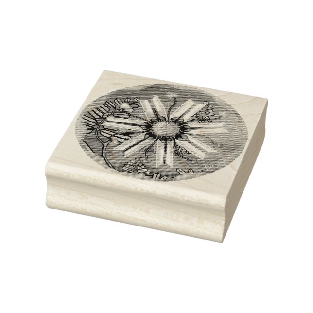 blomman i öknen stämpel (Stämpel)