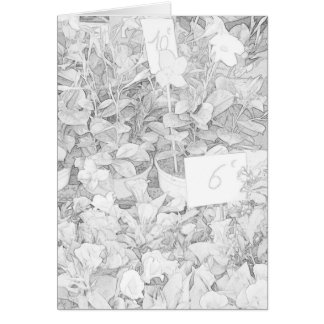 Blomman marknadsför färgläggning hälsningskort