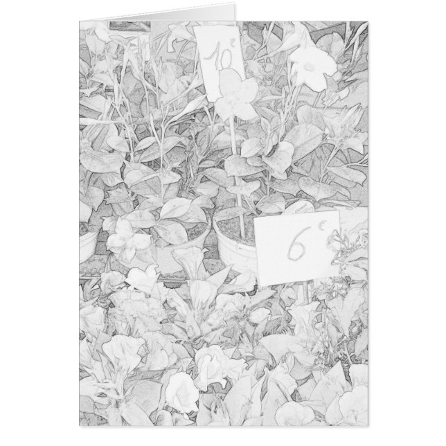 Blomman marknadsför färgläggning hälsningskort (Framsidan)