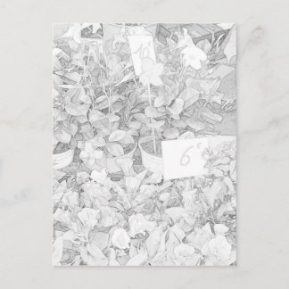 Blomman marknadsför färgläggning vykort