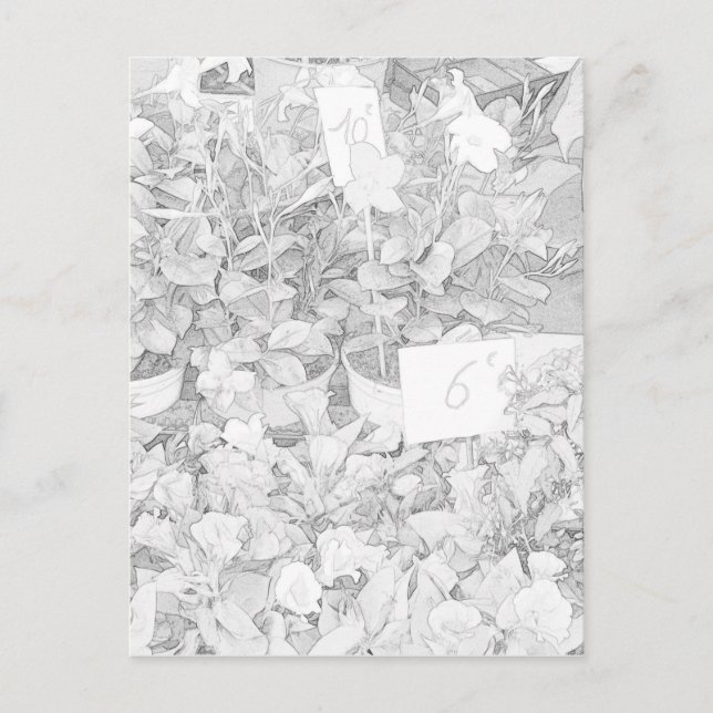 Blomman marknadsför färgläggning vykort (Framsida)