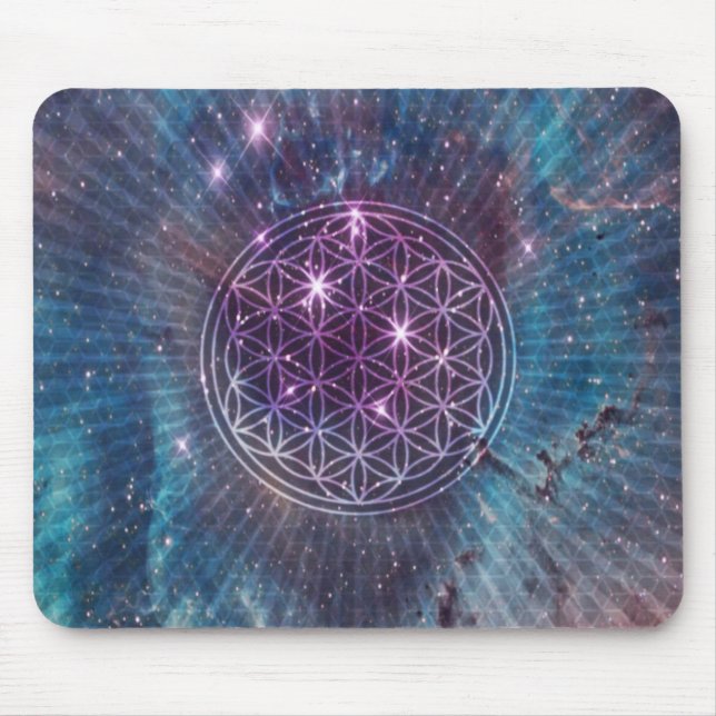 Blomman Musmatta (Framsidan)