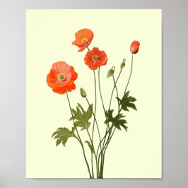Blomman poster