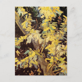 Blommande akaciagrenar Vincent van Gogh. Vykort