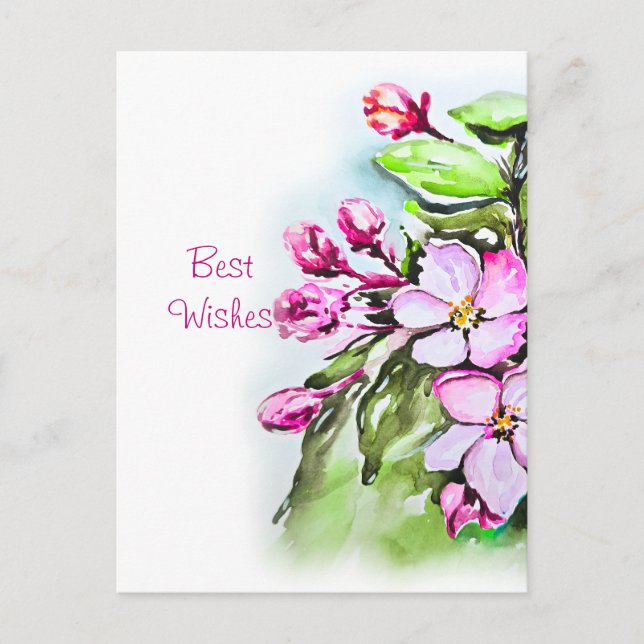 Blommande äppelblommor vykort (Framsida)