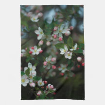 Blommande äppelträd, vårstämning