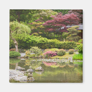 Blommande blommor i Japanska trädgården, Magnet