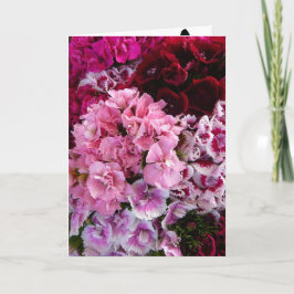 Blommande blommor kort