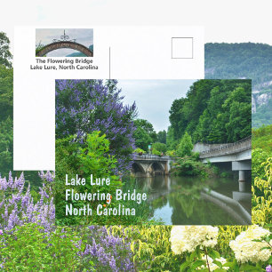 Blommande bro Lake Lure North Carolina Foto Vykort
