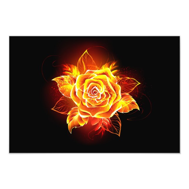 Blommande eldröda rosor fototryck (Framsidan)