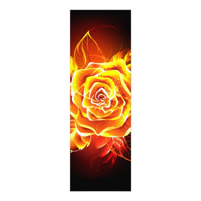 Blommande eldröda rosor fototryck (Framsidan)