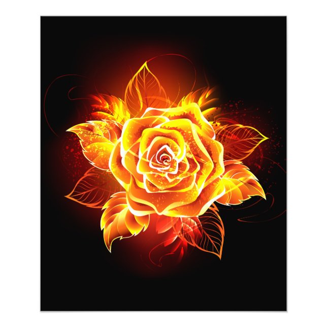 Blommande eldröda rosor fototryck (Framsidan)