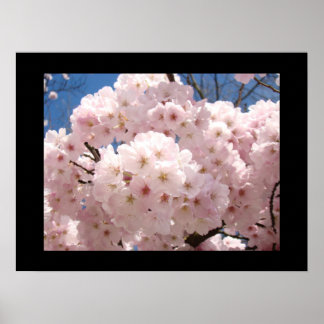 Blommande fina konsttryck Rosa träd blommor Poster
