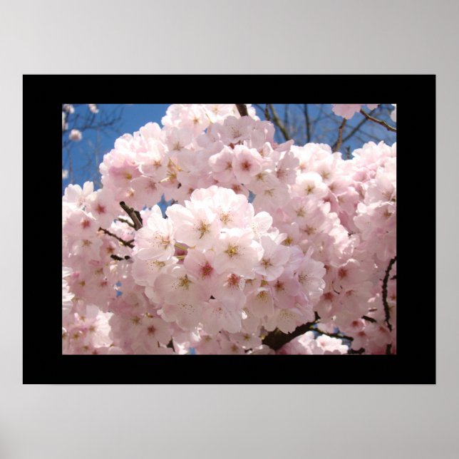 Blommande fina konsttryck Rosa träd blommor Poster (Framsidan)