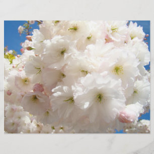 Blommande Flyer Papper Skapa Ditt Eget