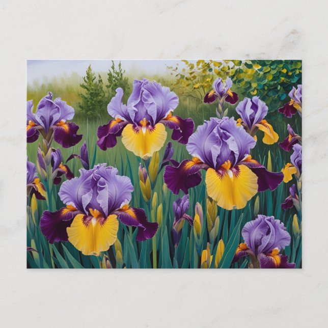 Blommande gula lila irisblommor  vykort (Framsida)