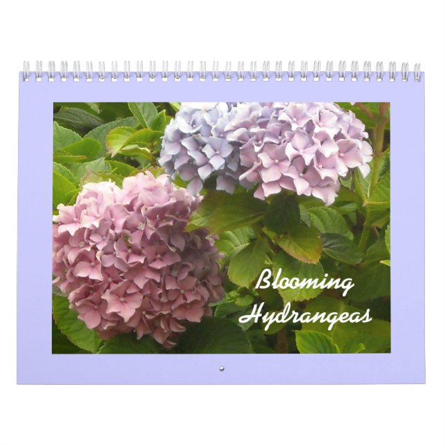 Blommande Hortensior Kalender (Omslag)