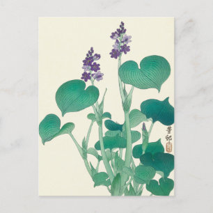 Blommande Hosta-målning av Ohara Koson Vykort