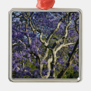Blommande Jacarandaträd i New Farm Park, 2 Julgransprydnad Metall