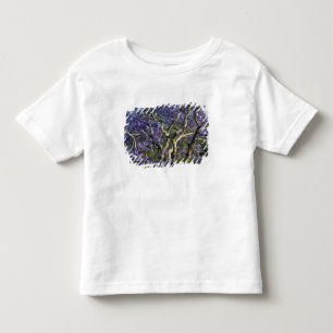 Blommande Jacarandaträd i New Farm Park, 2 Tee Shirt