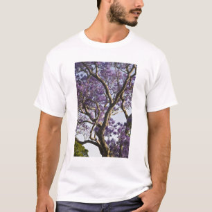 Blommande jacarandaträd i New Farm Park, T-shirt