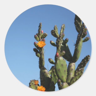 Blommande kaktus taggig päron Opuntia dekal Runt Klistermärke