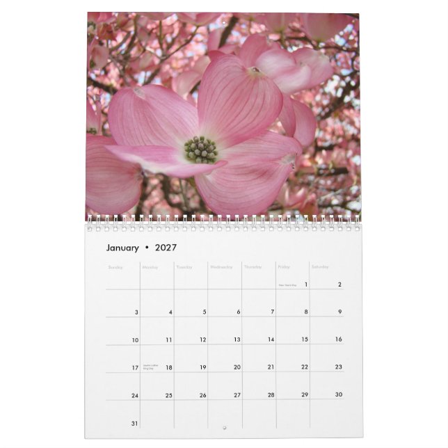 BLOMMANDE KORNELLTRÄD Kalender Gåvor Blommor (Jan 2027)