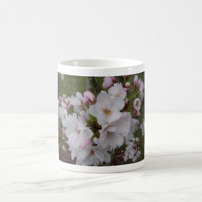 Blommande körsbärsblommor kaffemugg (Center)