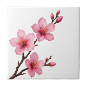 Blommande Körsbärsblommor (Sakura) Rosa Vitt Kakelplatta