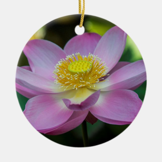 Blommande lotusblomma, Indonesien Julgransprydnad Keramik (Framsidan)