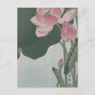 Blommande lotusblommor av Ohara Koson Vykort