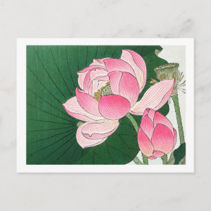 Blommande lotusblommor - Ohara Koson - förstorad Vykort