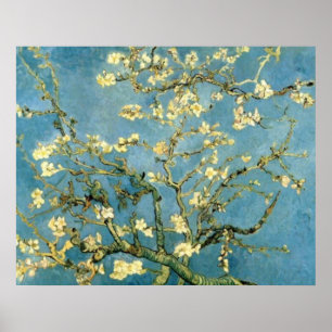 Blommande mandelträd Post-Impressionist Affisch