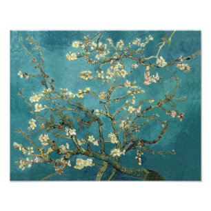 Blommande mandelträd - Van Gogh Fototryck